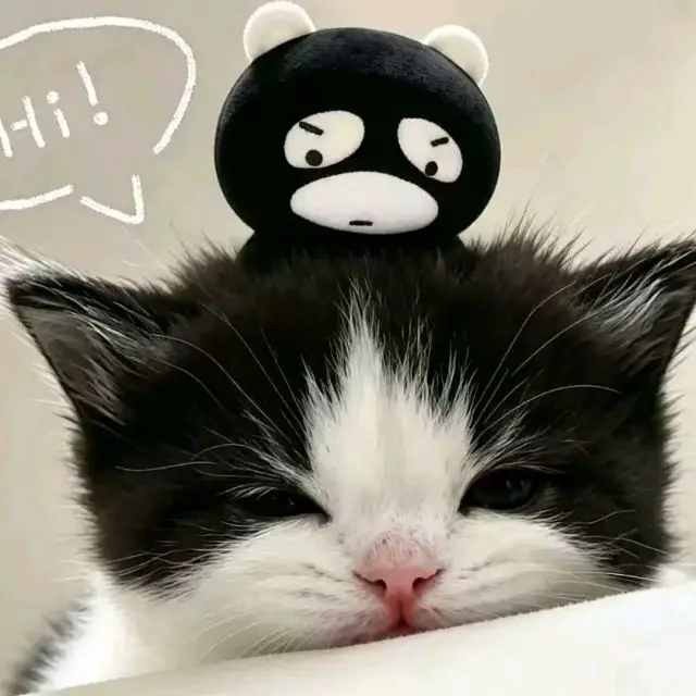 圇為冰头像